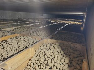 2021 Virtual Farm Tour